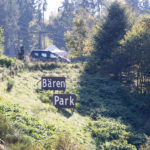 Der alternative Wolf- und Bärenpark in Bad Rippoldsau-Schapbach